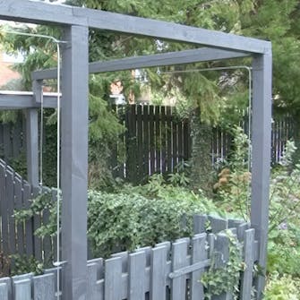 blåregn pergola blåregn pergola